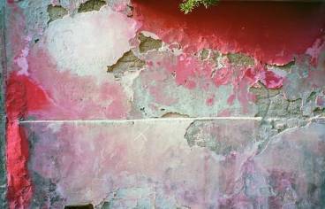 boaz-x-sur-les-murs-de-lile-de-procida-vignette.jpg